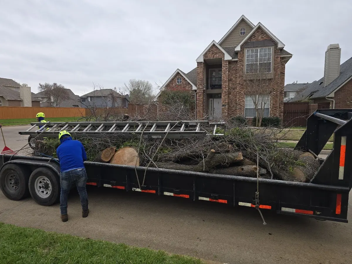 Expert Lot Clearing with proper safety equipment in Bells